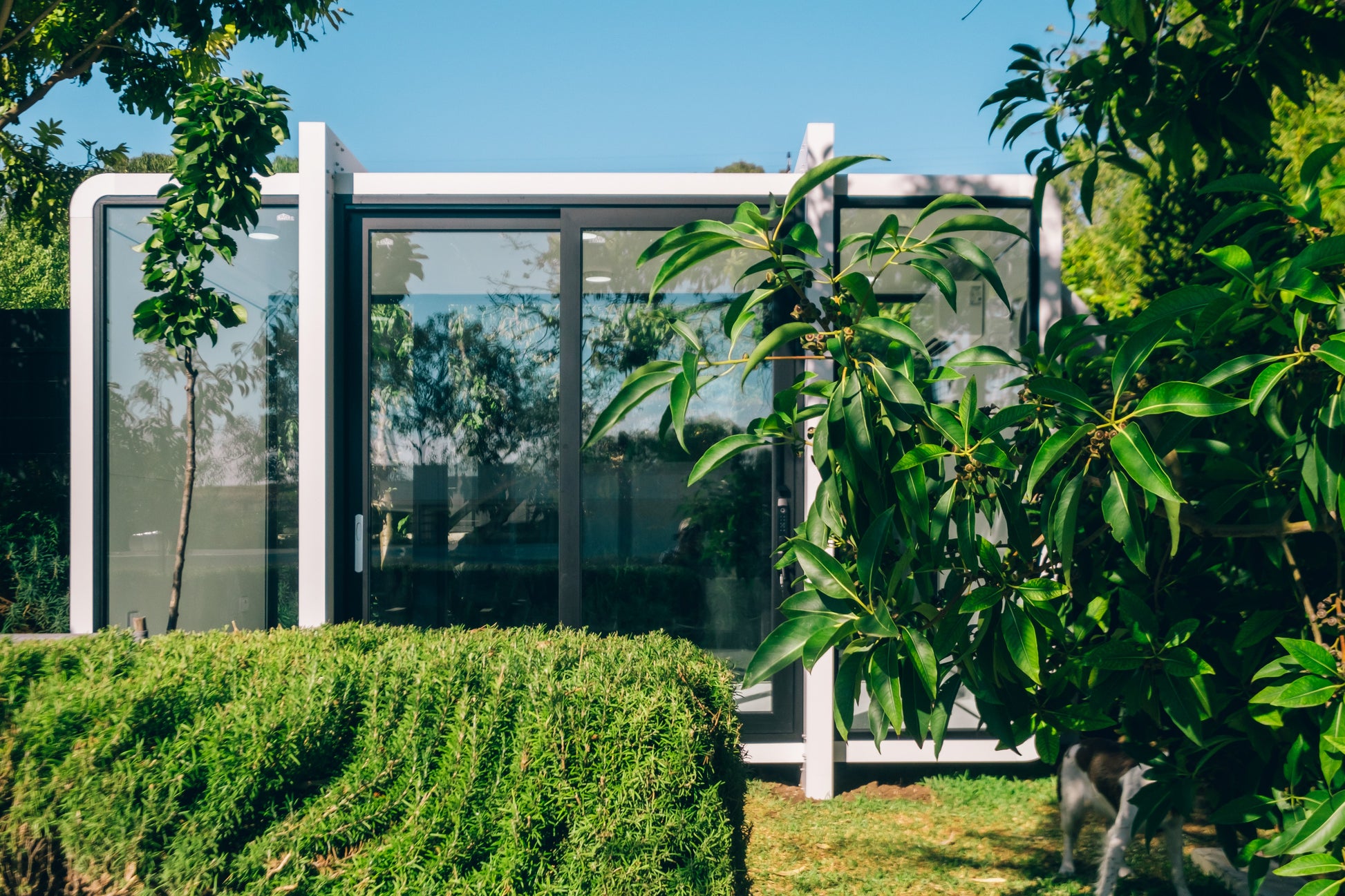 4m Studio - Backyard Architect Office