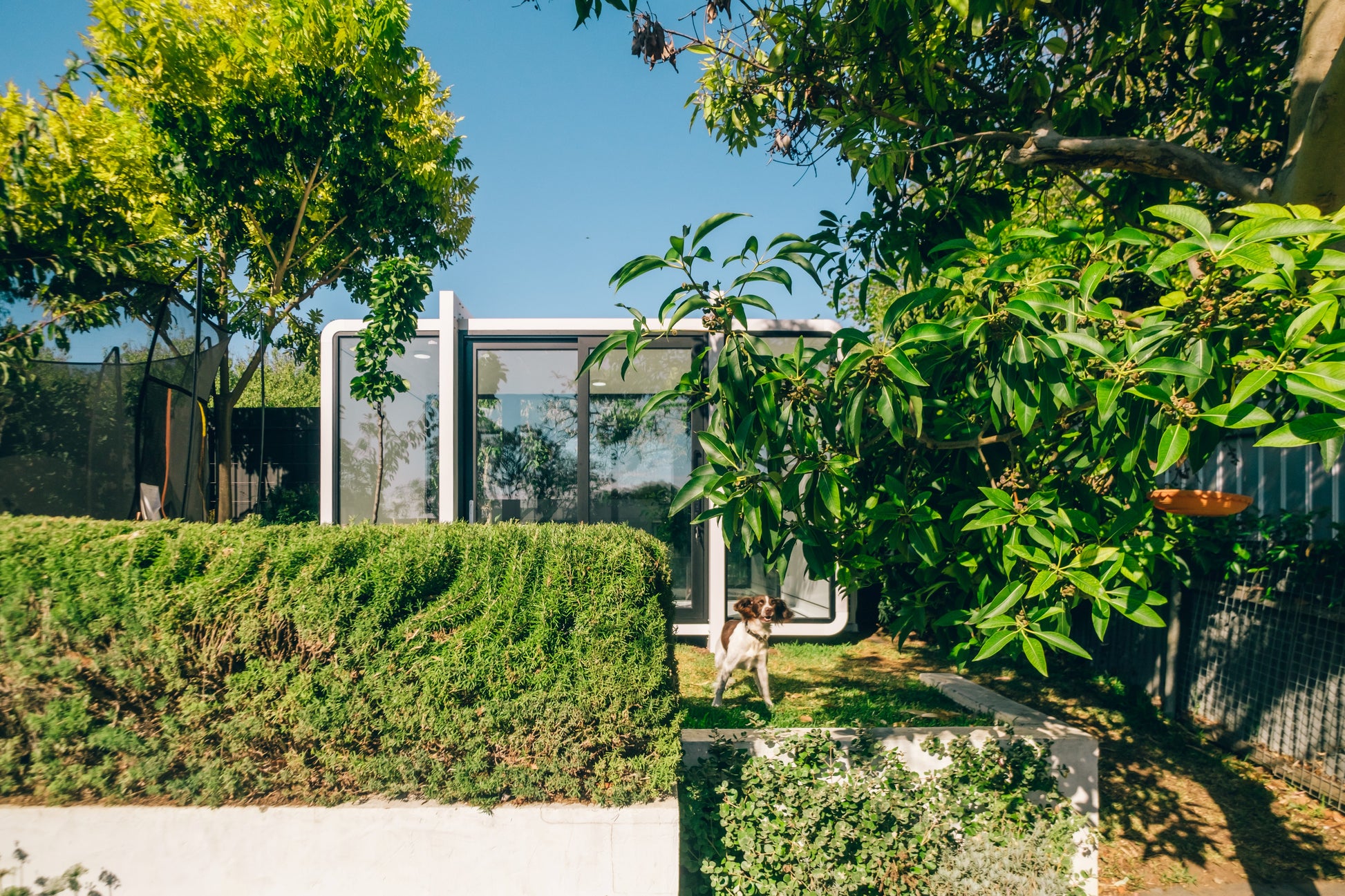4m Studio - Backyard Architect Office Long View