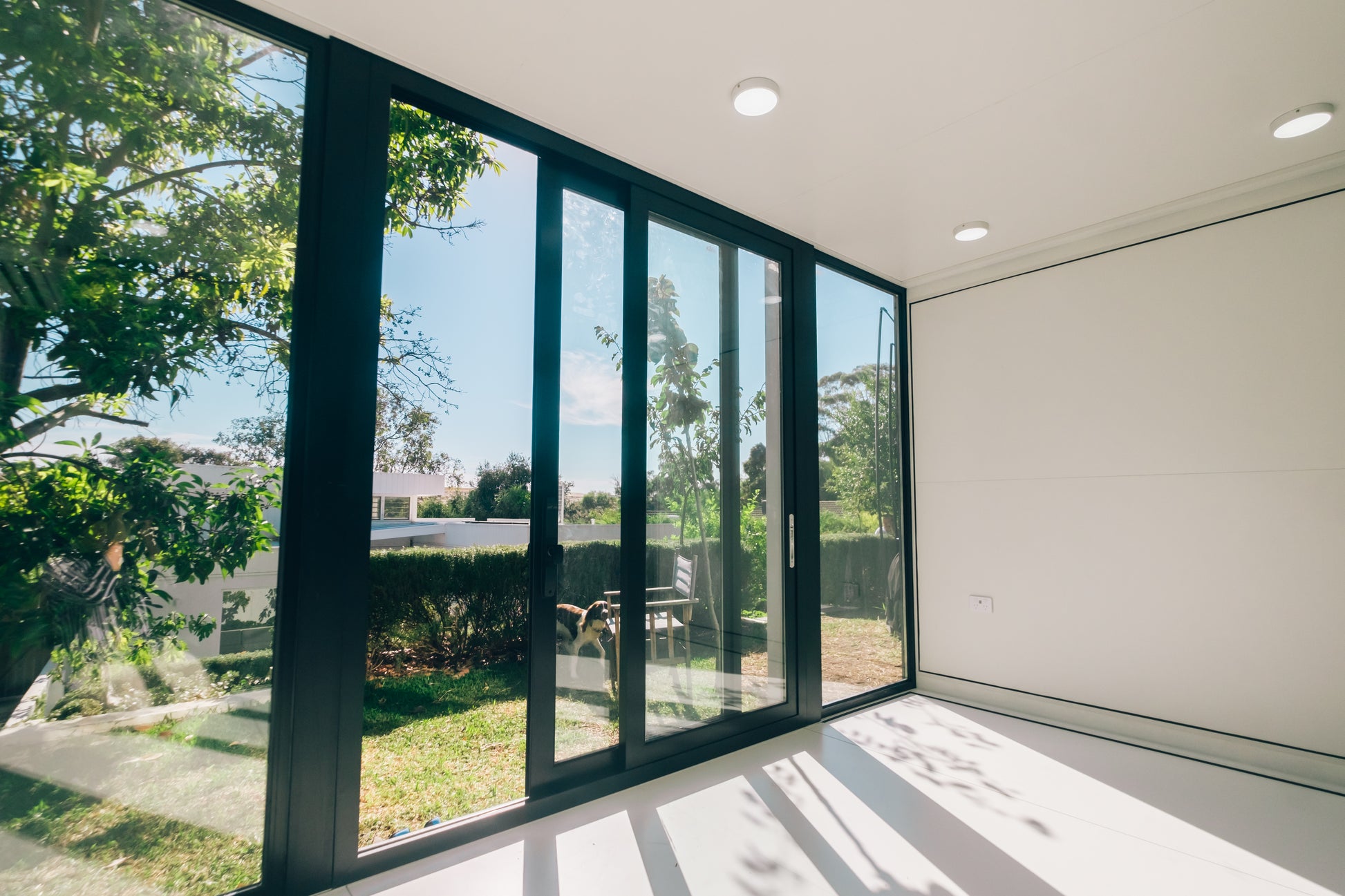 4m Studio - Backyard Architect Office Windows