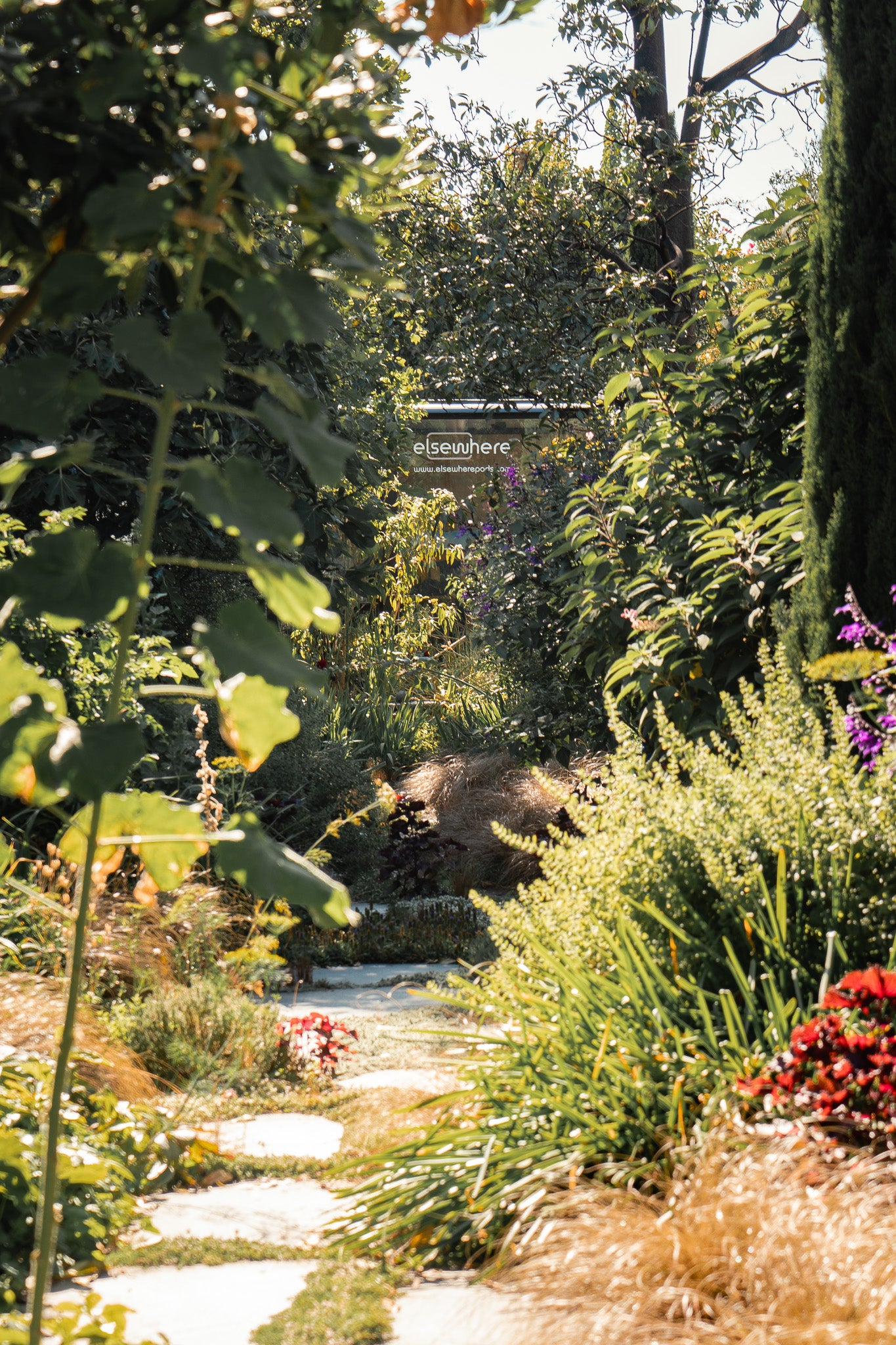 Clifton Hill | 6m Granny Flat Art Studio